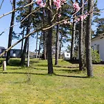 Buntspecht 1 * Pruchten